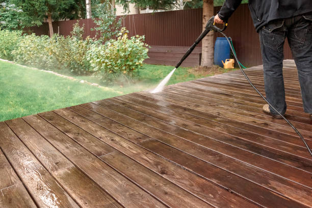 Best Animal Enclosure Cleaning  in Homerville, GA